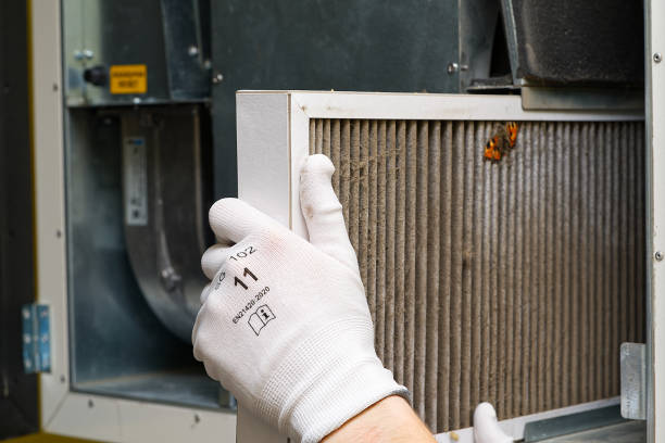Best Professional Duct Cleaning Services  in Anchorage, AK