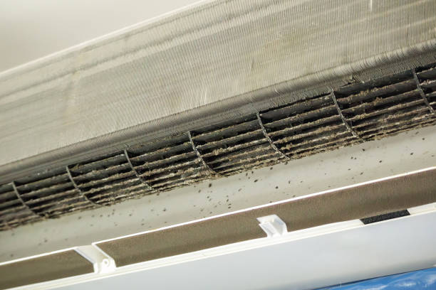 Best Ventilation Cleaning Services  in Anchorage, AK